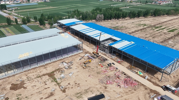 廠房鋼結(jié)構(gòu)網(wǎng)架