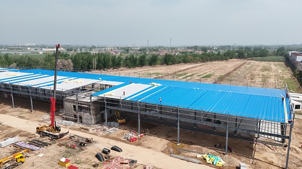 鋼結(jié)構(gòu)網(wǎng)架設(shè)計